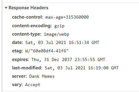 Google Chrome's Developer Console A screenshot from Google Chrome's Developer Tools displaying a response from a HTTP request for an image asset on the website.